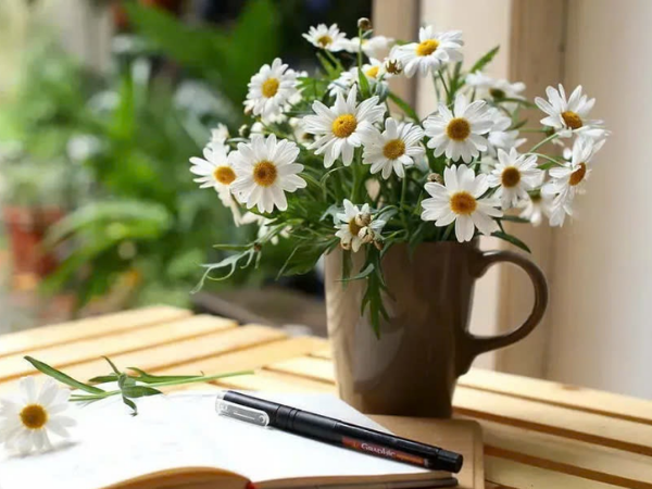 Qua đêm nay, 3 con giáp may mắn bùng nổ, VÀNG RÓT VÀO TÚI ẦM ẦM, công danh sự nghiệp thăng hoa, một bước lên hương - Ảnh 3
