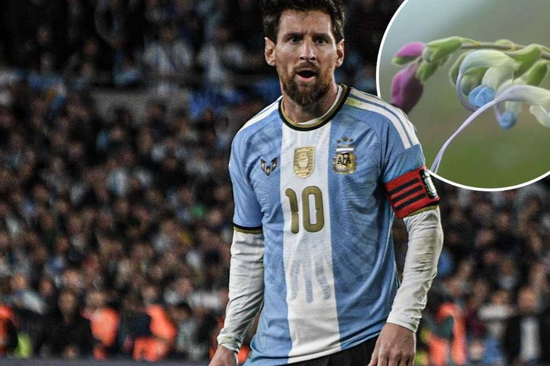 Xuất hiện bông hoa Messi trên thế giới