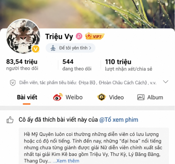 Triệu Vy bị cho là bất mãn vì bị xem nhẹ, động thái trên mạng xã hội gây xôn xao - Ảnh 1