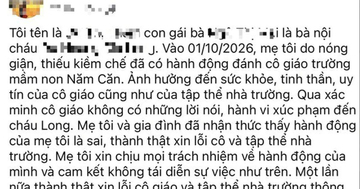 Bà nội đánh, xé áo cô giáo mầm non ở Cà Mau, lý do gây phẫn nộ