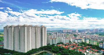 Hà Nội xem xét cơ chế đặc thù xử lý 12 dự án vi phạm của Tập đoàn Mường Thanh