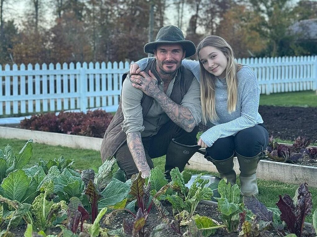 Cầu thủ David Beckham