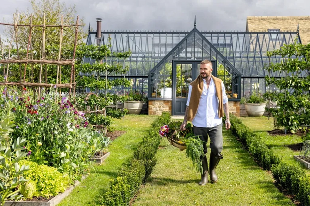 Cầu thủ David Beckham