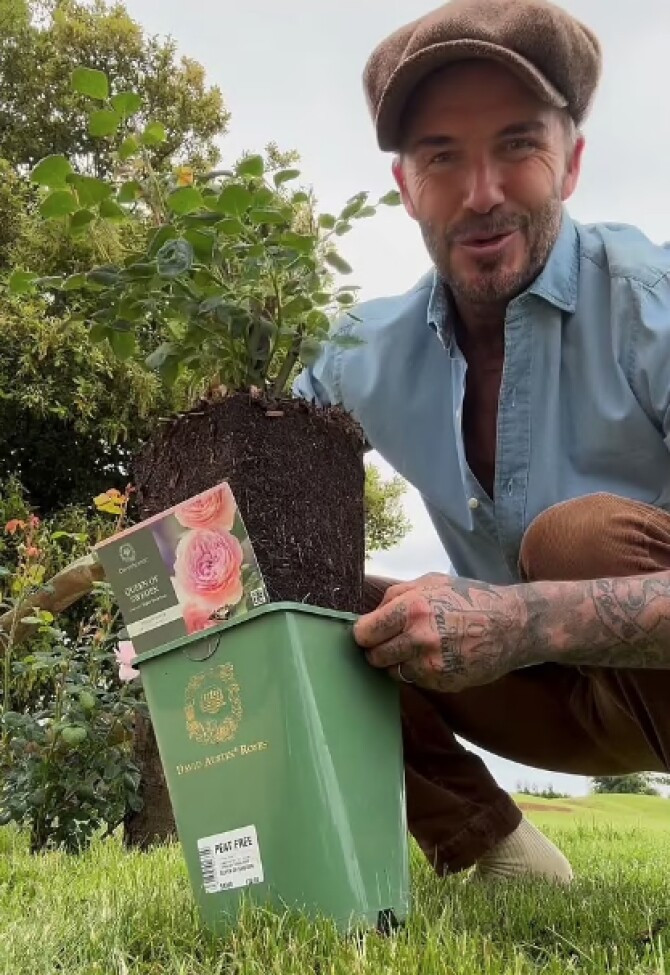 Cầu thủ David Beckham