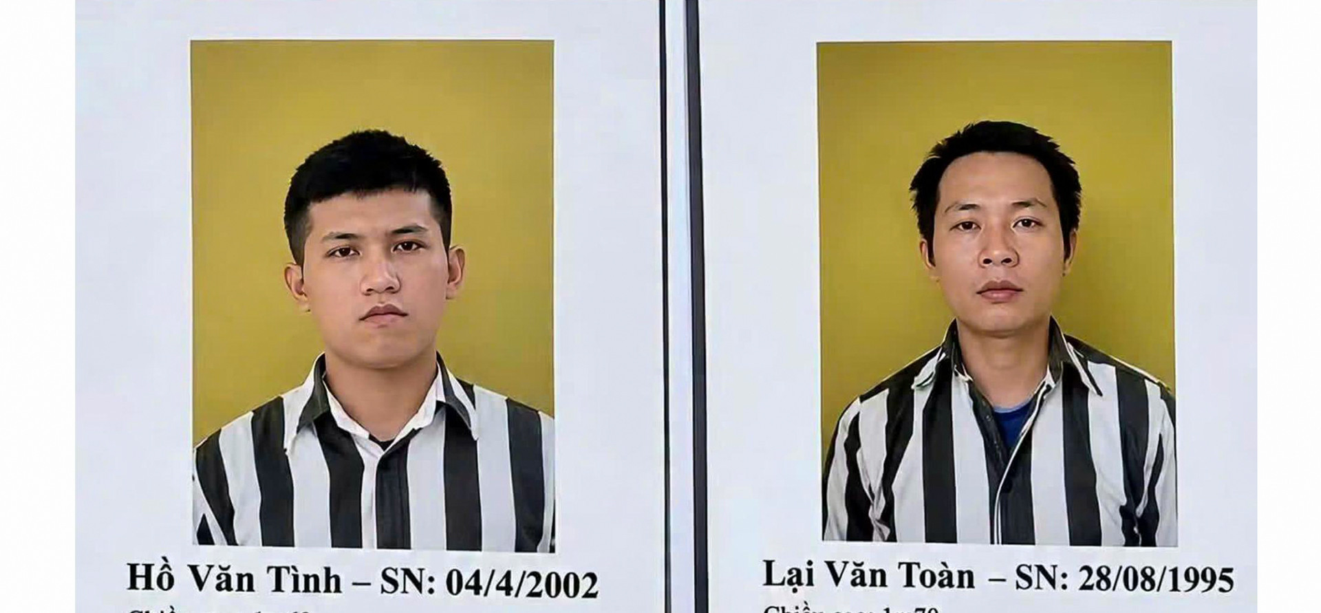 hai pham nhan tinh va toan 3230.jpg