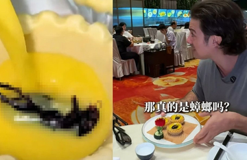 Sáng tạo ẩm thực hay chiêu gây chú ý? Bánh tart trứng phủ bọ giống hệt gián gây tranh cãi ở Trung Quốc