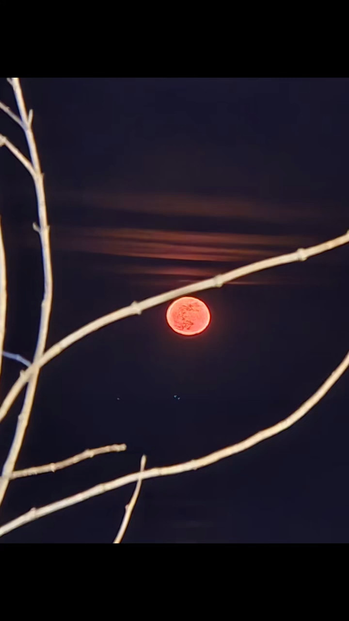 aqmdy726zcfze9oeb5rcee8ilhqi4oyr9pqiw6pdgrzbr01czqka3mnjokualg5eyfzhwch9fz7th3gnoliri