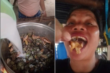 Quay video ăn 'cua quỷ' cực độc, nữ vlogger nổi tiếng co giật, môi tím tái rồi tử vong