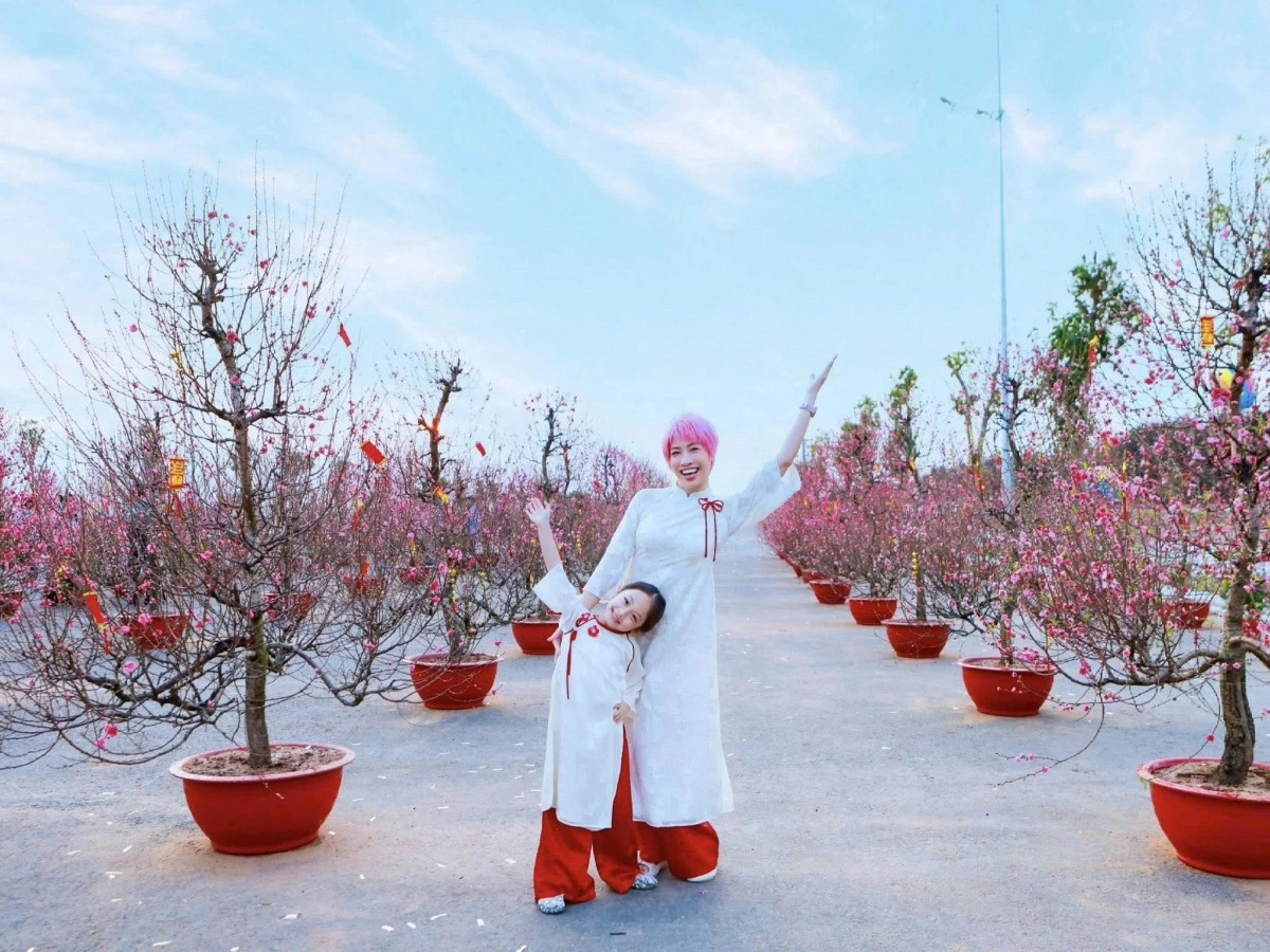 sao viet di cho hoa, trang hoang nha don tet binh ngo hinh anh 9