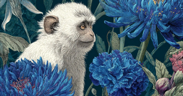 Top con giáp vượng đường quan lộ nhất năm 2026: Thời tới, vận mở, lộc vào như nước