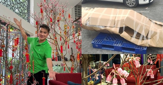 Cành đào chuông Yên Tử lạ mắt 'vượt ngàn trùng' đến tay Đàm Vĩnh Hưng