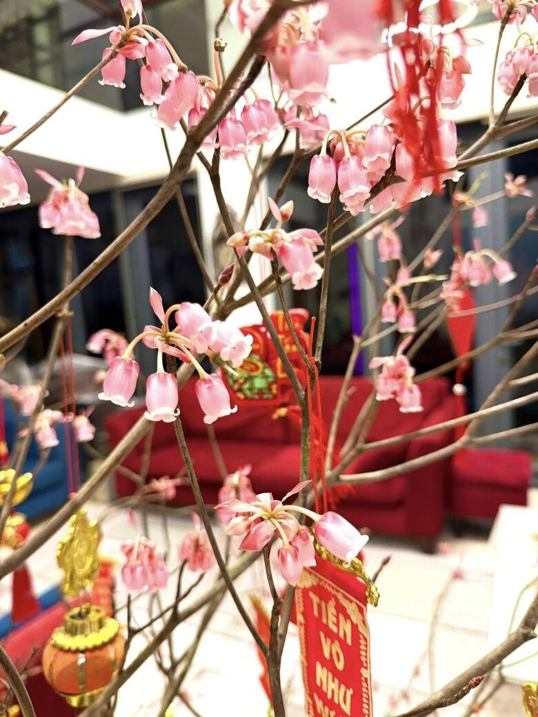 Cành đào chuông Yên Tử lạ mắt