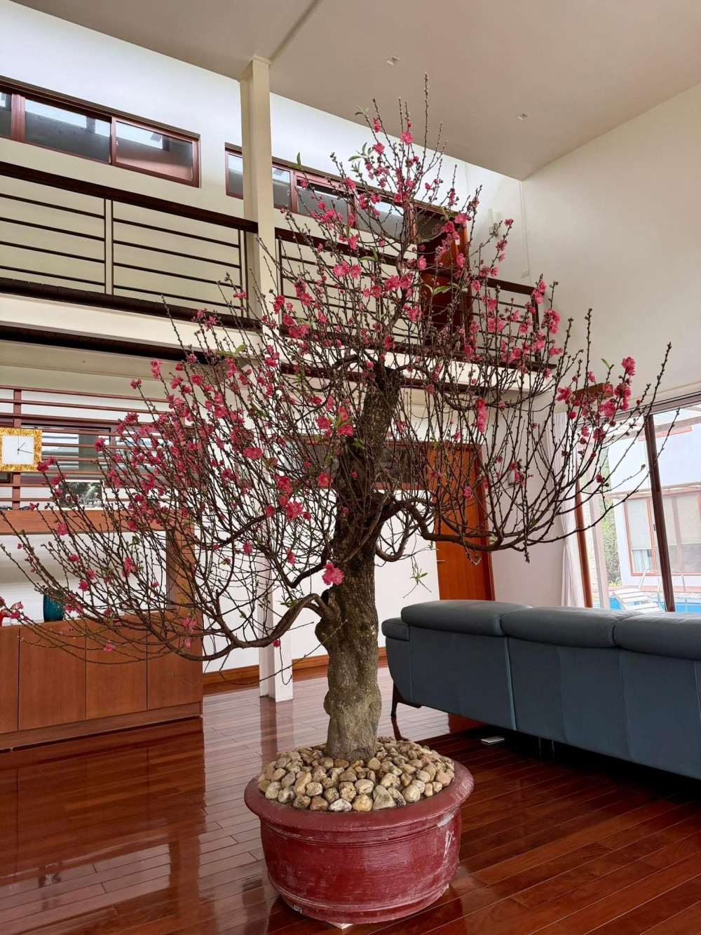 nha diva my linh 4.jpg