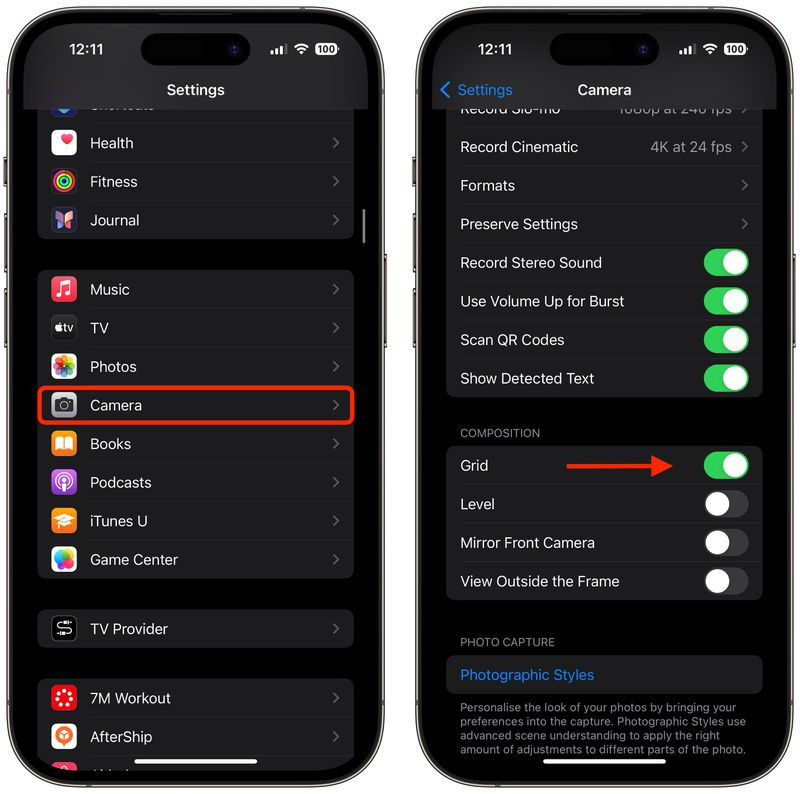 camera grid setting.jpg