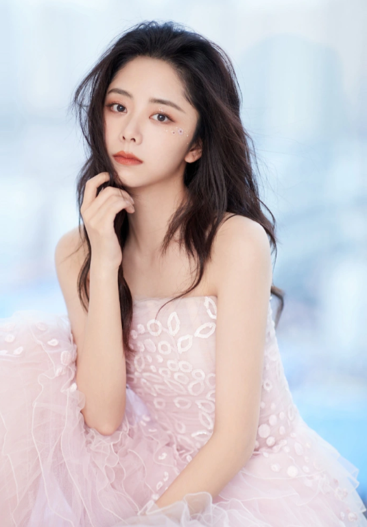 Vì sao Đàm Tùng Vận bị 100 đoàn phim từ chối vì nhan sắc? - Ảnh 2