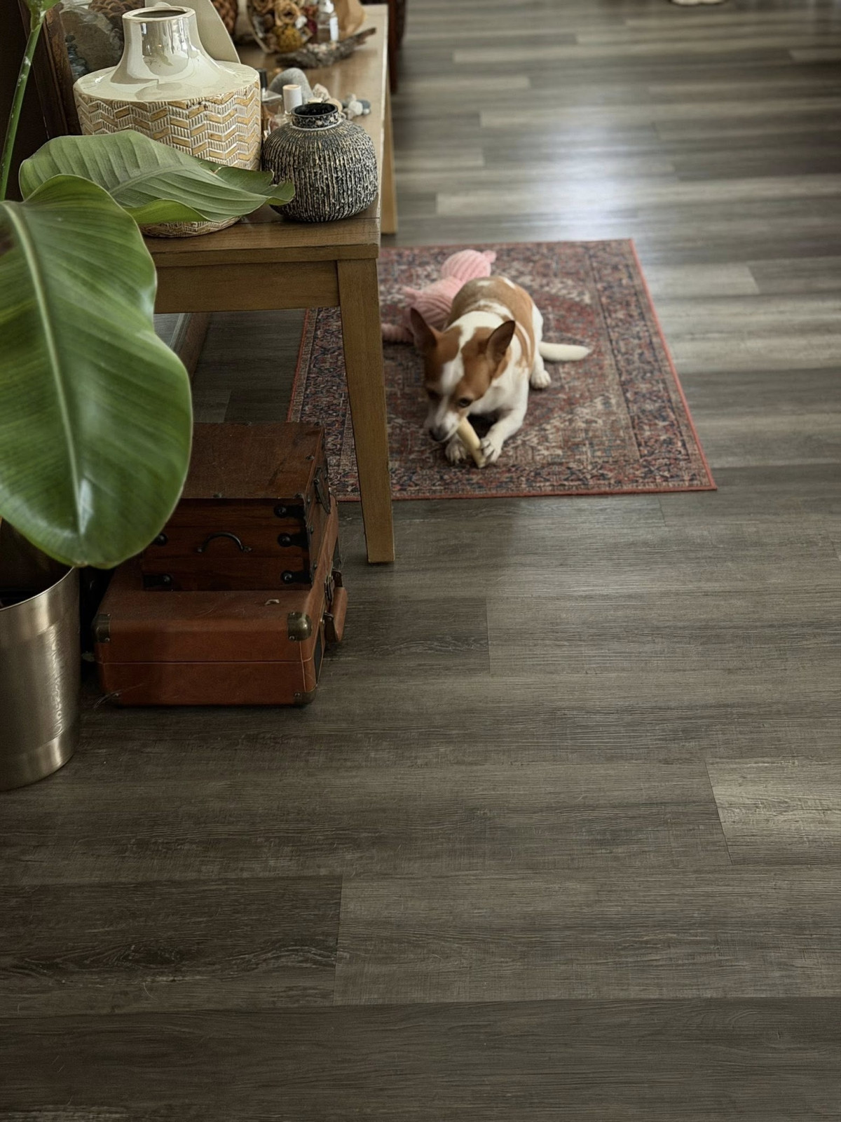 Kim Hiền dọn nhà đón Tết - Ảnh 3.