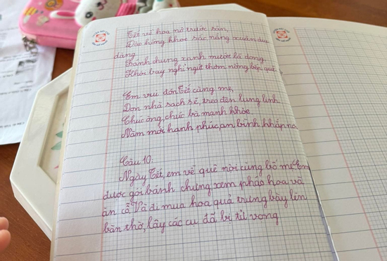 2 từ trong đoạn văn tả Tết của con khiến bà mẹ hốt hoảng: Thật thà thế này thì ai đỡ nổi?