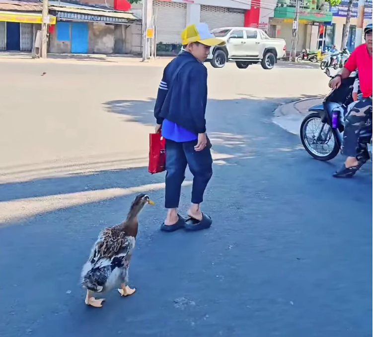 screen shot 2026 02 22 at 110553 pm