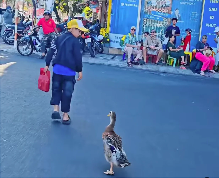 screen shot 2026 02 22 at 110605 pm