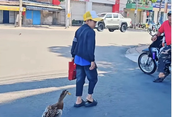 Chú vịt lẽo đẽo đi theo cậu bé bán vé số giữa phố: Hình ảnh gây chú ý trong ngày Tết