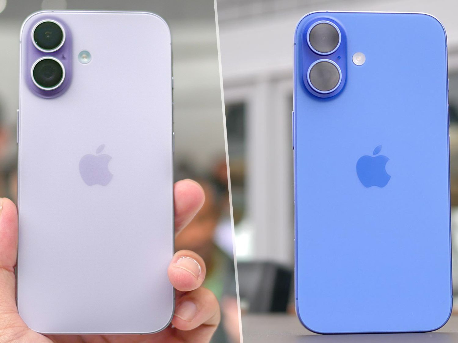 fzncxfoxc7oh6gvcepyvnn