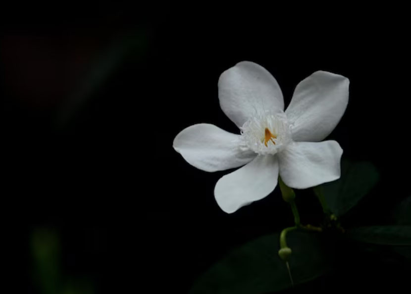 3 khung giờ sinh Âm lịch báo hiệu cuộc đời khổ trước sướng sau, trung niên sung túc - Ảnh 3.