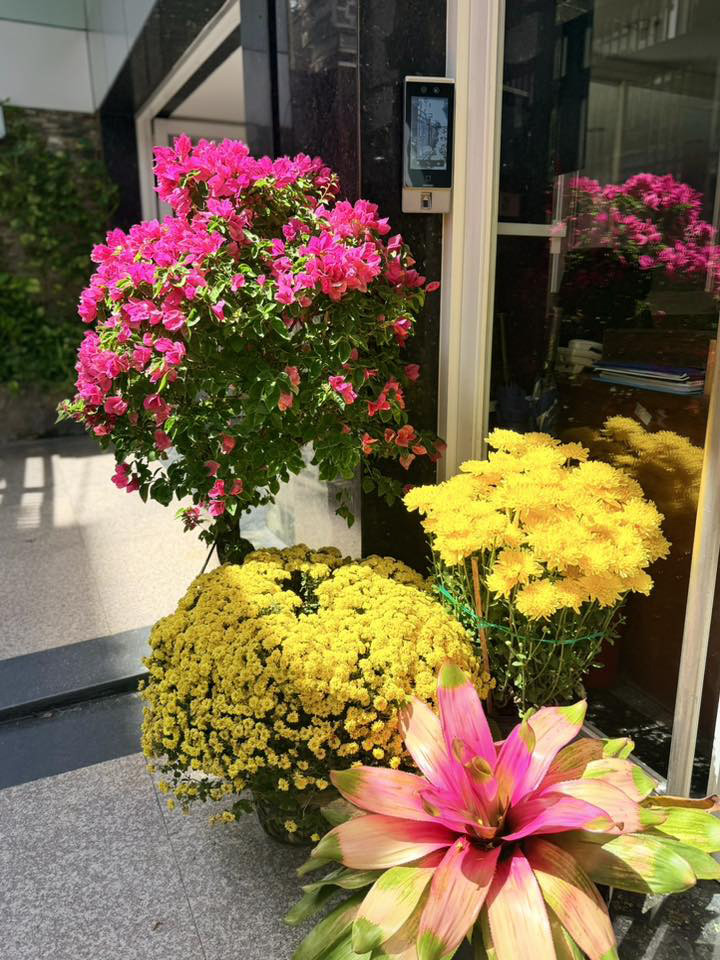 Ca sĩ Mỹ Lệ ở tuổi 54 sống viên mãn bên biệt thự 1 . 000 M2 tại TP HCM - Ảnh 4.