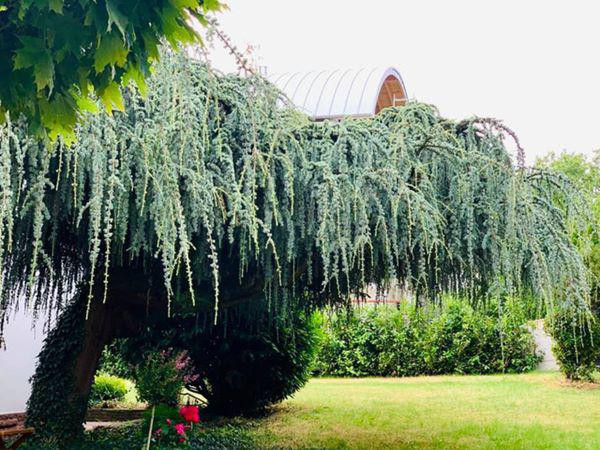 Ca sĩ Mỹ Lệ ở tuổi 54 sống viên mãn bên biệt thự 1 . 000 M2 tại TP HCM - Ảnh 32.