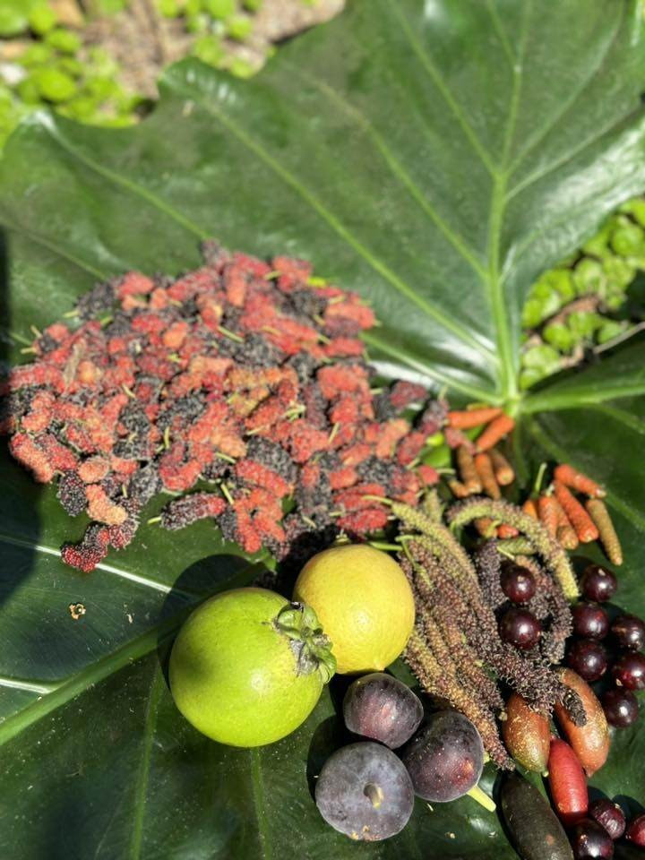 Ca sĩ Mỹ Lệ ở tuổi 54 sống viên mãn bên biệt thự 1 . 000 M2 tại TP HCM - Ảnh 14.