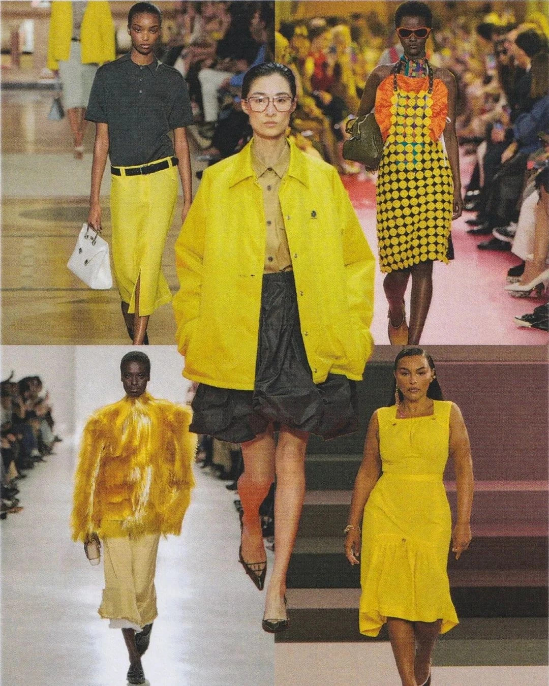 xanh duong lanh va vang acacia hai gam mau dinh hinh thoi trang xuan he 2026 hinh anh 6