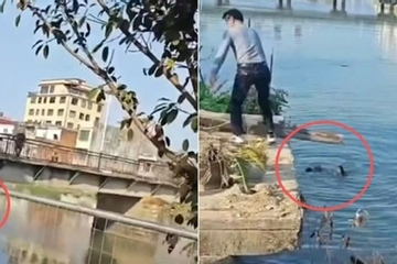 Cãi nhau trên cầu, người đàn ông làm hành động khiến cả mạng xã hội phẫn nộ