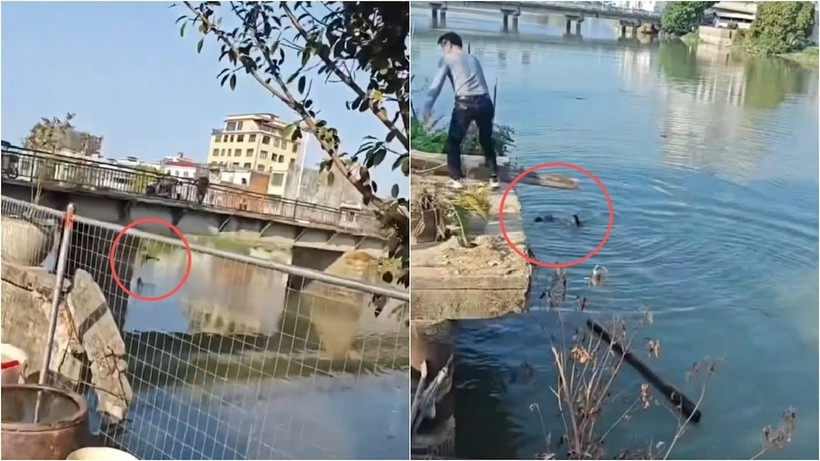 Người đàn ông bất ngờ bế con ném xuống sông sau khi tranh cãi với vợ trên cầu. Ảnh: Phụ nữ mới.