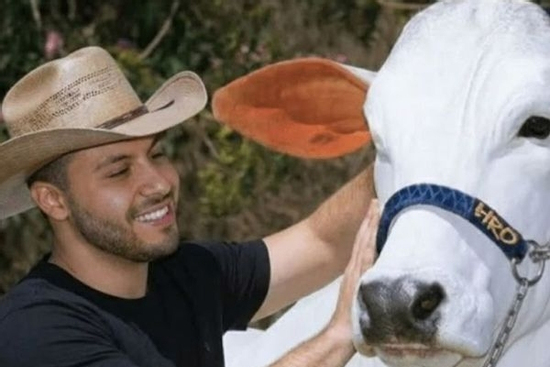 Đây là con bò đắt nhất thế giới với trọng lượng hơn 1 tấn, giá hơn 4 triệu USD