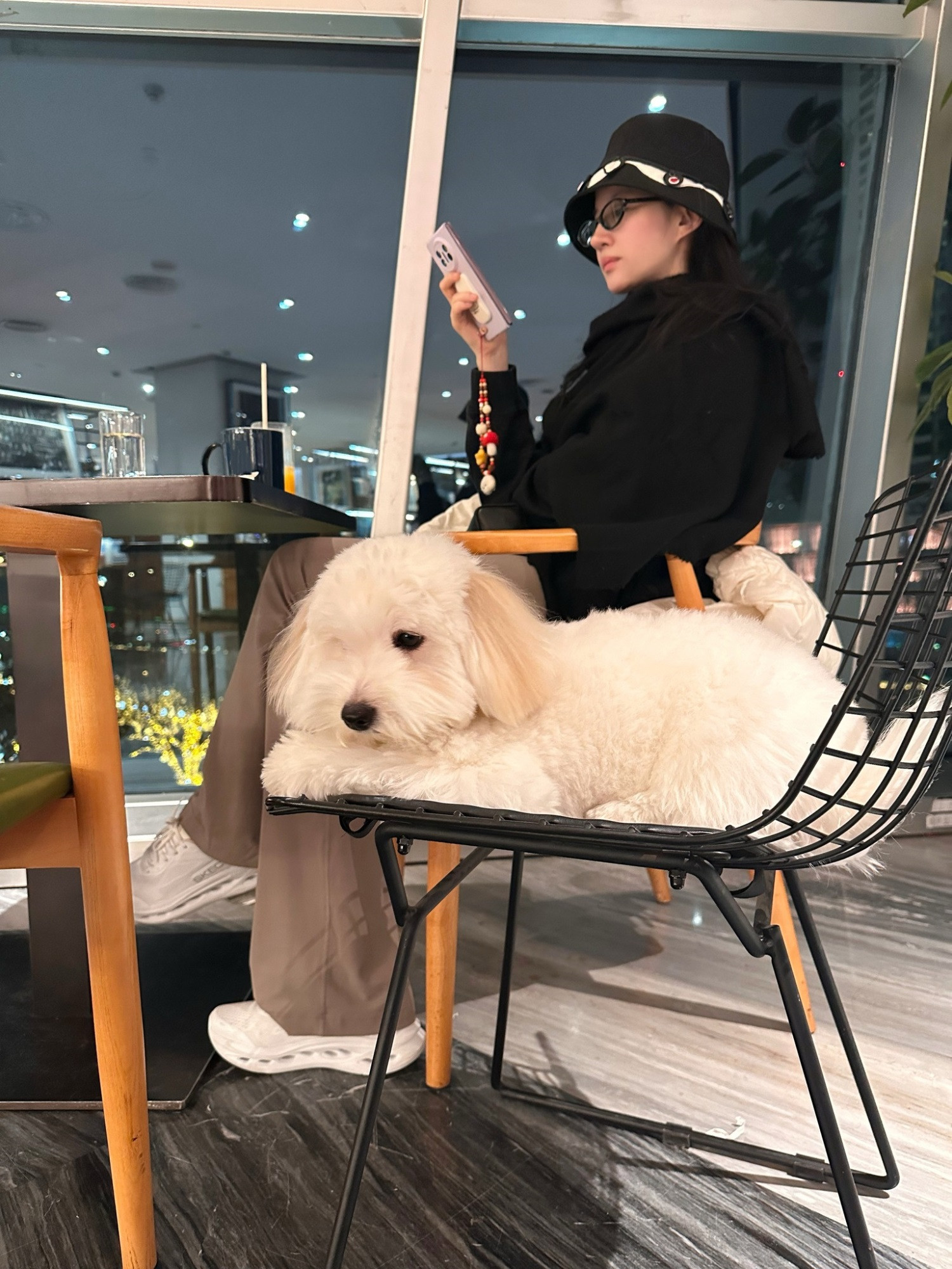 Lưu Diệc Phi gây chú ý khi chia sẻ loạt ảnh đời thường bên chú chó cưng - Ảnh 2