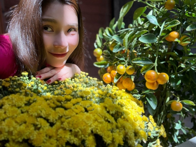 Biệt thự thúy Diễm - Lương Thế Thành lộng lẫy đón Tết 2026 tại Thủ Đức - Ảnh 3.