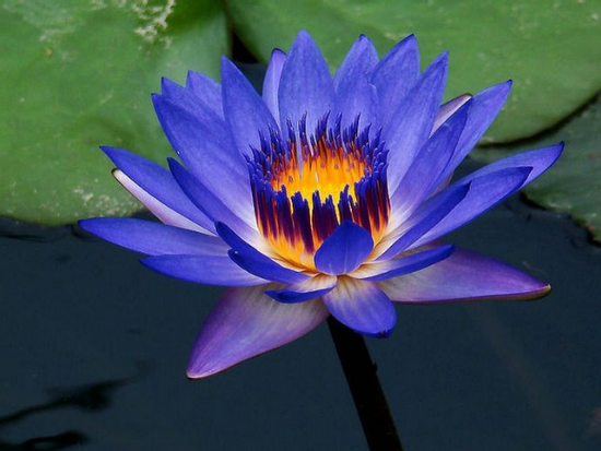 Hết tháng Giêng, hết khổ: 3 con giáp thu lộc dồn dập, giàu lên không ngừng, kiếm được tiền nhiều vô kể