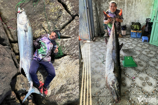 Cần thủ Đà Nẵng câu được cá 'khủng' nặng 63kg ở bán đảo Sơn Trà