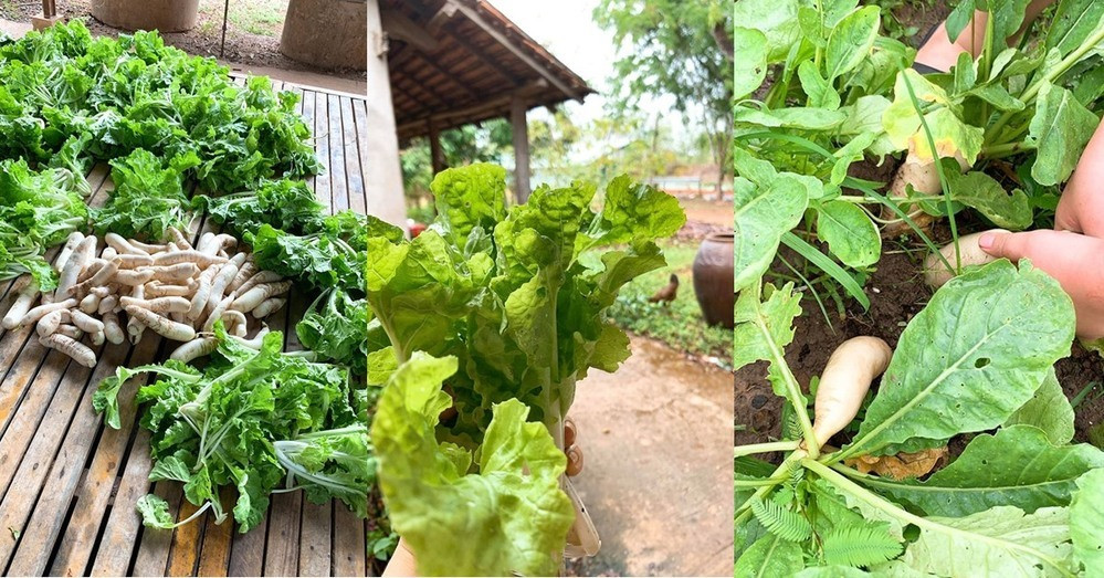 Vợ chồng Lê Phương tậu nhà phố mới sau 10 năm nỗ lực tại TP HCM - Ảnh 18.