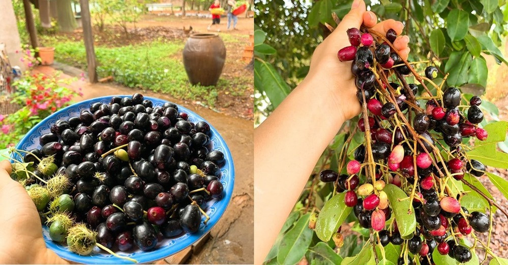 Vợ chồng Lê Phương tậu nhà phố mới sau 10 năm nỗ lực tại TP HCM - Ảnh 19.