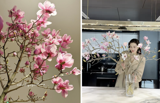 Vì sao hoa mộc lan thành trào lưu sốt xình xịch trên mạng dịp Tết Bính Ngọ?