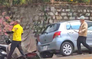 Người đàn ông công khai chặt hoa mai anh đào ở Đà Lạt gây bức xúc