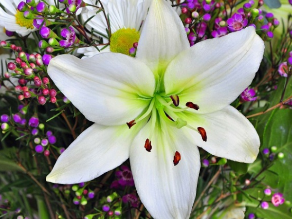 Qua đêm nay, 3 con giáp tiền chắn chật cửa, gặp trúng thời vận, công danh lẫy lừng, phát Lộc phát Tài - Ảnh 3