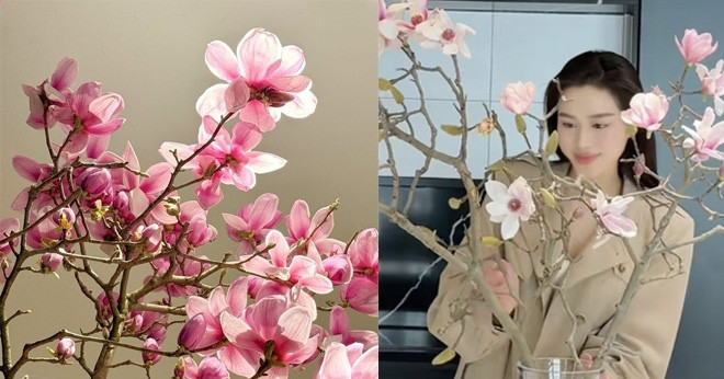 Gallery - Loài hoa được Đỗ Thị Hà cắm dịp Tết Bính Ngọ có gì đặc biệt mà lại gây sốt?