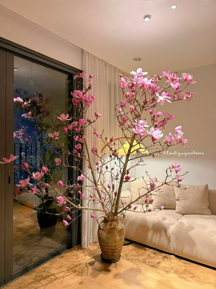 Vì sao loài hoa được Hoa hậu Đỗ Thị Hà cắm trong dịp Tết Bính Ngọ lại gây sốt? - Ảnh 1.