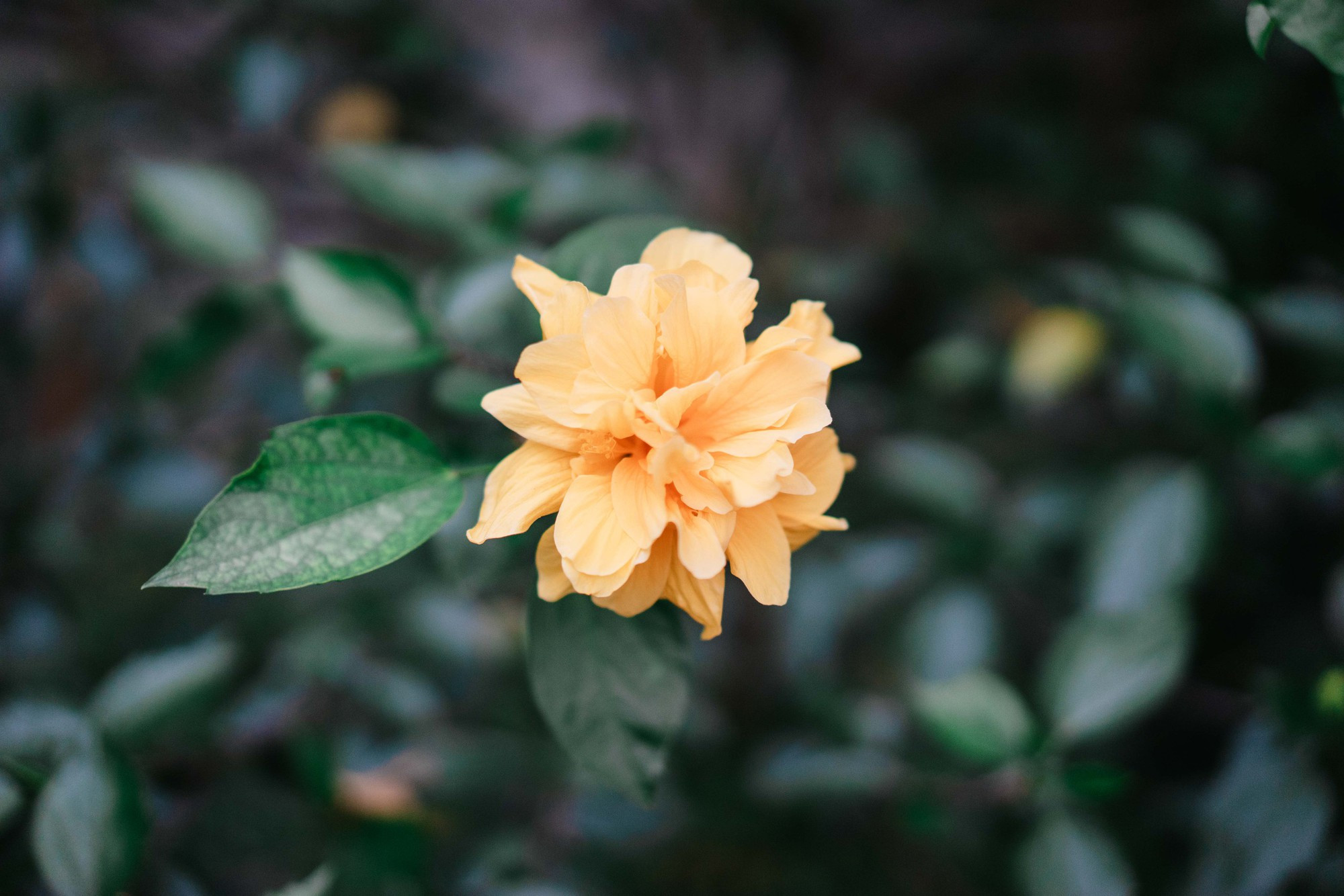 Điểm 'khác thường' trong penhouse lộng lẫy đón Tết sớm của 'nữ hoàng livestream' khiến nhiều người thán phục khi biết lý do- Ảnh 28.