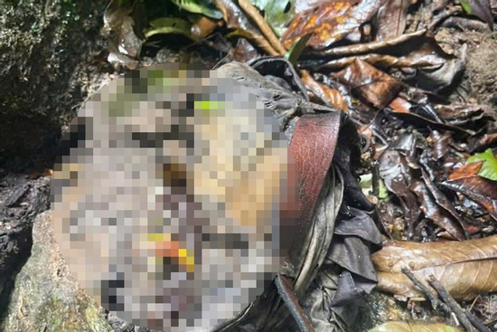 Phát hiện bộ xương người ở bìa rừng