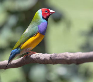 3 ngày sinh Âm lịch 'nở muộn nhưng rực rỡ', hậu vận phú quý khó ai bì - Ảnh 3.