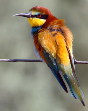 3 ngày sinh Âm lịch 'nở muộn nhưng rực rỡ', hậu vận phú quý khó ai bì - Ảnh 2.