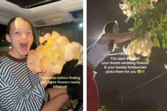 Bí mật kinh hoàng đằng sau bó hoa rực rỡ trên nóc xe: 7,8 triệu người xem đều nín thở