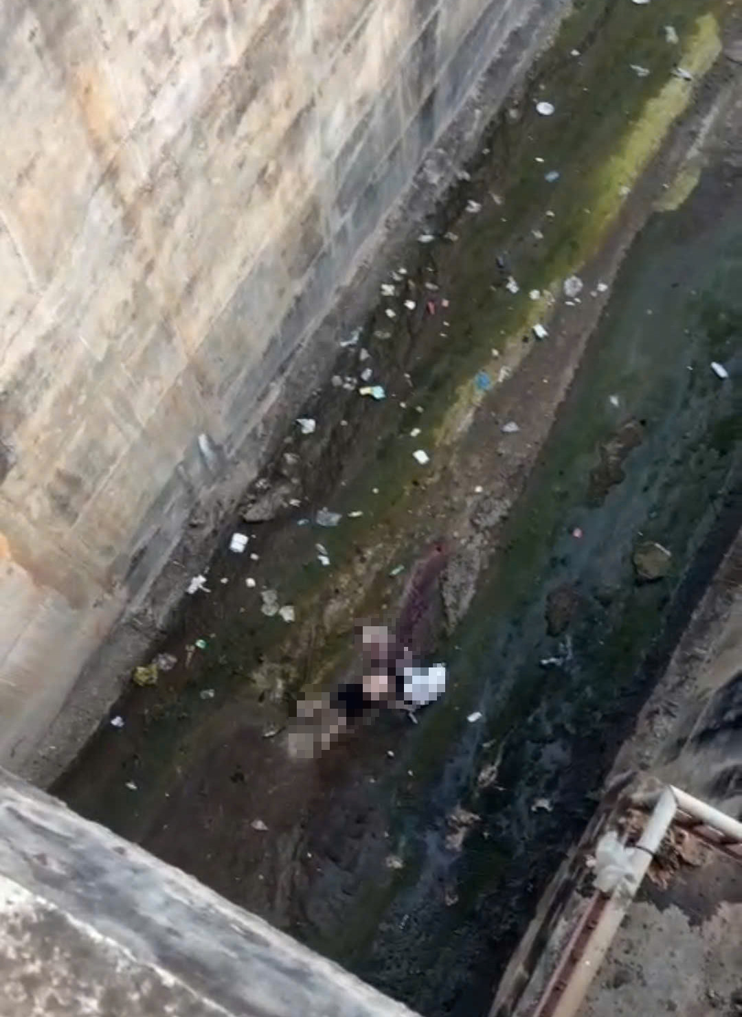 Tai nạn hy hữu tại Đắk Lắk khiến người đàn ông tử vong tại chỗ - Ảnh 1.